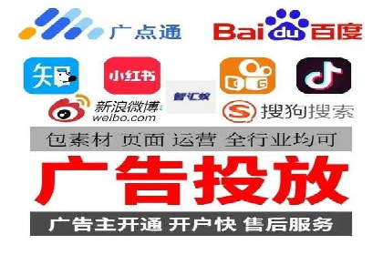 SEM广告投放中的数据监控与调整策略——以某品牌营销案例为例
